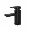 Cefito Basin Mixer Tap Faucet Bathroom Vanity Counter Top WELS Standard Brass Black